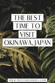 If You Re Planning A Trip To Okinawa Japan You Want To Make Sure You Choose The Best Month To Visit Asia Travel Japan Travel Guide Travel Destinations Asia