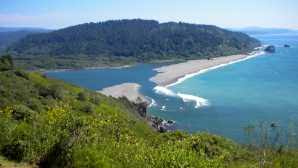 The redwood national and state parks (rnsp) are a complex of several state and national parks located in the united states, along the coast of northern california. Redwood National Park Visit California