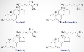 Vitamin d is much less widespread than vitamin a. Vitamins Water And Fat Soluble The Medical Biochemistry Page