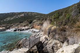 Buy designer clothes online at saint tropez! Die Pfeiffers In Saint Tropez Hundereisenmehr