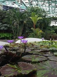 Mizunomori Lake Biwa S Coveted Lotus Peninsula And Aquatic Trip101