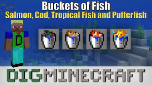 Right click while holding the empty bucket and your character will get a temporary pocket of air forming around its head. How To Make A Bucket Of Tropical Fish In Minecraft