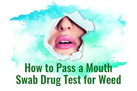 It contains some sugars and amino acids. How To Pass A Mouth Swab Drug Test Oral Saliva Drug Test Passing Tips