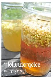 Holunder Wunder Gelee Mit Holunderbluten Holundergelee Holunder Karottensaft Rezepte