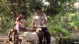 Dahulu kalau hantar servis ke kedai, si pekedai sembelih saya dengan 2 botol minyak, upah = rm90 ( beberapa tahun lepas ) sedangkan saya buat sendiri cuma rm10 untuk membeli minyak dan. Telemovie Jangan Sembelih Merah