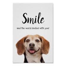 Keep smiling because life is a beautiful thing and there's so much to smile about. 37. Cute Dog Smiling Photo Smile Quote Beagle Poster Zazzle Com In 2021 Smile Quotes Smiling Dogs Animal Lover Quotes