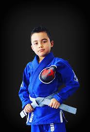 The possible consequences of competitive failure will be proportional to the child's emotional/social. Learn Brazilian Jiu Jitsu In Bronx New York Bronx Jiu Jitsu
