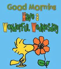 53 Wednesday Memes Ideas Wednesday Quotes Happy Wednesday Quotes Wednesday Memes