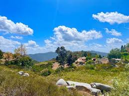 Our specialized escondido landscapers are proud to offer completely organic pest control, organic seeding escondido landscaping services extend far beyond lawn mowing and pea gravel designs. 9677 Welk View Dr Escondido Ca 92026 Mls Ndp2105648 Zillow