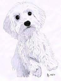 artquid the art market online dessins amusants portraits de chiens dessin chat coloriage rat-taupe nu pour les enfants