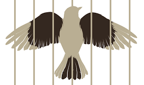I don't post much on pigtails anymore, but in light of the fact that we lost author harper lee yesterday, i felt compelled to make a post on to kill a mockingbird, which has inspired. To Kill A Mockingbird On Behance