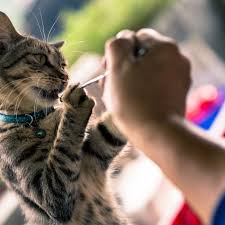 We did not find results for: Cat Allergies Symptoms Causes Diagnosis And Treatment