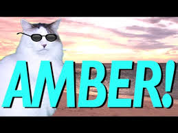 There is something funny written on it, or some funny images are mimicked on it in these images. Happy Birthday Amber Epic Cat Happy Birthday Song Youtube