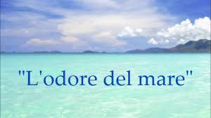 Le frasi sulle canzoni rivelano come i motivi musicali rappresentino dei compagni di viaggio fedeli e imperdibili in tutta la nostra vita: Le Piu Belle Canzoni Frasi E Video Poesie Sul Mare L Odore Del Mare Di 4tu C Youtube
