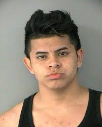 Sexual Assault Suspect Sentenced to 20 Years in Prison