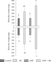 Image result for Tetraria