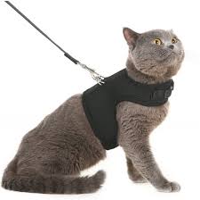 Shop chewy for low prices and the best cat leashes & harnesses! Amazon Com Pupteck Checkered Frills Soft Mesh Dog Vest Harness Puppy Padded Pet Harnesses For Cat Small Dogs Large Black Kitchen Dining