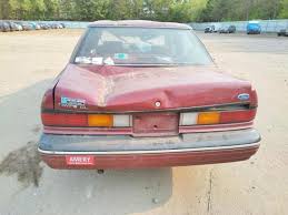 Image result for Wild Strawberry 1991 Tempo