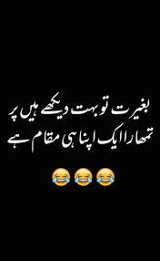 pin on urdu funny poetry