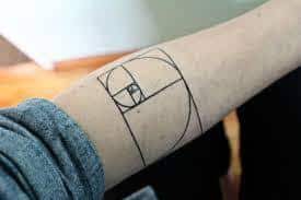 Accessories, tattoos, hats and organics for plants, and accessories, weapon skins, hats, tattoos (garden warfare 2 only) and facial. What Does Fibonacci Spiral Tattoo Mean Represent Symbolism