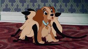 Chanson manquante pour la belle et le clochard ? Disney Ne Traitera Pas De Certaines Scenes Disney Qui Ont Fait Polemique