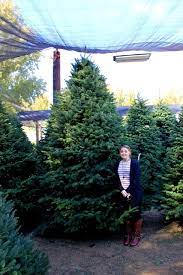 Maybe you would like to learn more about one of these? Live Oak Canyon Christmas Tree Farm Yucaipa Ca California Through My Lens