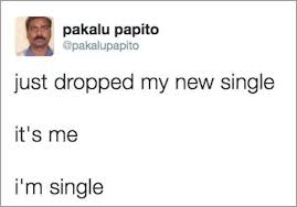 22 funny tweets about being single twitter quotes funny single quotes funny really funny memes