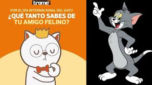 Check spelling or type a new query. Gatos Dia Internacional Del Gato Meme Adopcion Silvestre Don Gato Garfield Imp Actualidad Trome