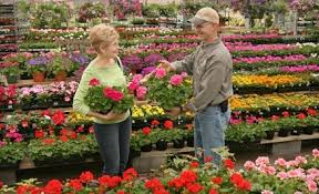 After we completed renovated our house in fairfax city, we called merrifield garden center for landscaping advice, which as i recall cost nothing. Half Off At Merrifield Garden Center Merrifield Garden Center Groupon