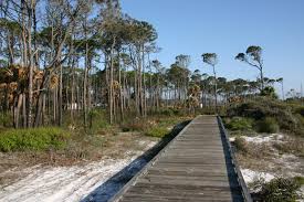 It is a large park set on a small peninsula off the west coast of florida jutting out from port st. T H Stone Memorial St Joseph Peninsula State Park Campground Port St Joe Florida Womo Abenteuer