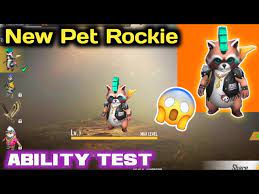 To max a legendary pet , you need 37 ambrosias ( and a bit of items ). 5 Best Free Fire Pets To Pair With Chrono For Rank Push In May 2021