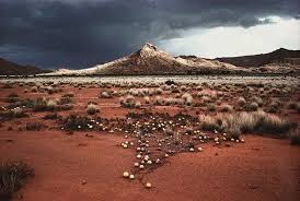 Bury your undies and learn about soils. Musgrave Range Landscape Ernabella South Australia 1977 By David Moore Art Gallery Of Nsw