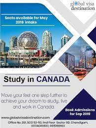 Study In Canada Study Moving To Canada Promotional Design