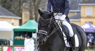 Western dressage integrates the historically validated principles of dressage with the best of western stock horse tradition. 10 Most Famous Dressage Riders Horses In History