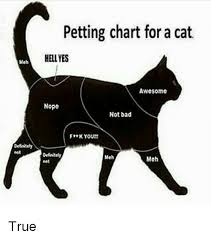 Petting Chart For A Cat Hell Yes Awosomo Nope Not Bad Fhk