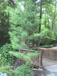 Admission is free and the public is welcome. Hatcher Garden Woodland Preserve Beautiful Places Garden Woodland