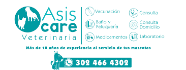 Veterinaria Asis care