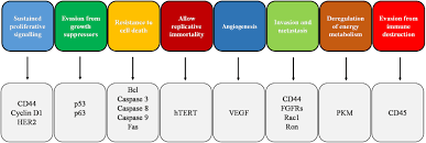 Treatment may involve the following: Frontiers Promising Antineoplastic Actions Of Melatonin Pharmacology