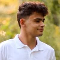 50+ "Vincent (vinny)" profiles