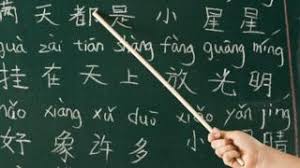 Georgia Faust English and Portuguese Tutoring