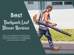 Top 5 Best Backpack Leaf Blower Reviews Most Powerful Gas