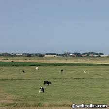 Dänemark hat eine wirklich wundervolle landschaft zu bieten. Foto Landschaft Sudl Jutland Danemark Welt Atlas De