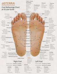 Foot Reflexology Chart Pictures Photos And Images For