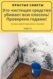 как вывести черную краску с волос в домашних условиях Vsem Sovetuyu U Nas Staryj Dom I Ranshe Postoyanno Zavodilas Plesen Pokupali Doroguyu Himiyu Ubiralo No Nen V 2020 G Ubrat Plesen Sovety Chistyashie Sredstva