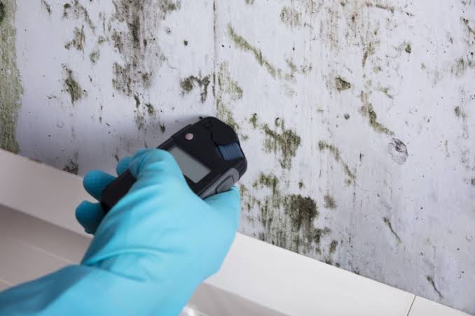 How to Test for Mold in Your Home? | Enviropure