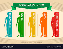 Man Body Mass Index Info Chart Male Silhouette
