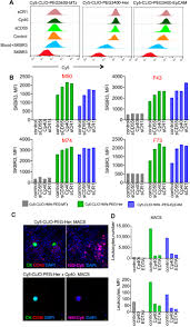 Complement Inhibitors Block Complement C3 Opsonization and Improve  Targeting Selectivity of Nanoparticles in Blood