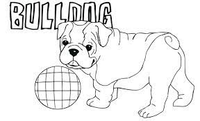 Home / animals / bulldog. Bulldog Coloring Pages Best Coloring Pages For Kids