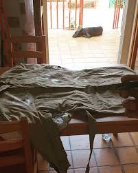 Io Dipingo Impermeabili Cane Nero Dorme David Bowie Canta Per Venduto Mrkt Moonsoupart Painting Venduto 2019