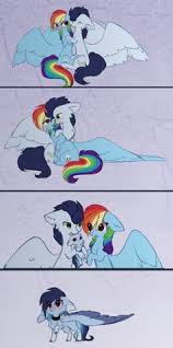 I personally love soarindash, which is why my username on this website is literally soarindash. 38 Rainbow Dash Ideas Rainbow Dash My Little Pony Mlp Pony